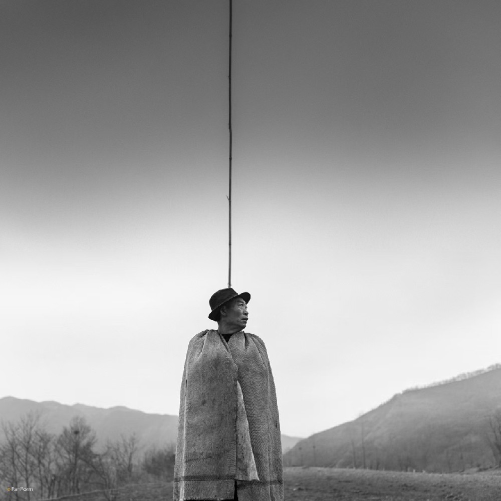 苍衫彝鹰（Ⅰ）